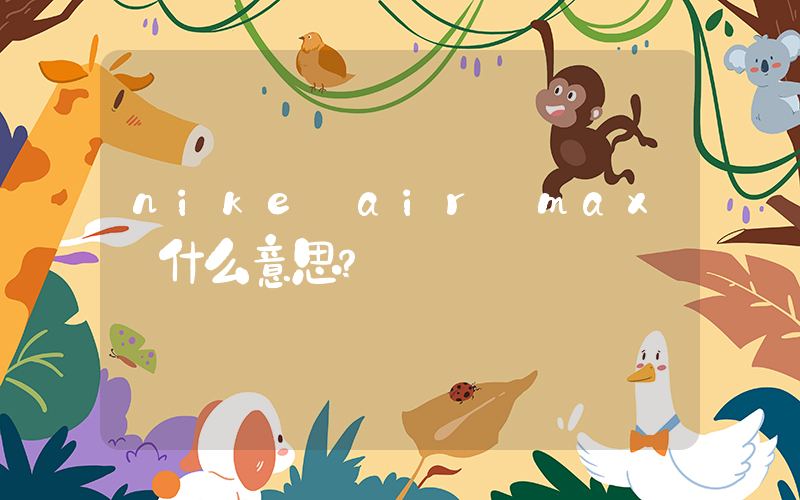 nike air max 什么意思？插图
